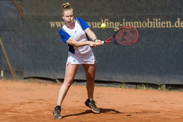 Bild 259 - BL DTV Hannover - BW Dresden Blasewitz : Ergebnis: 2:7